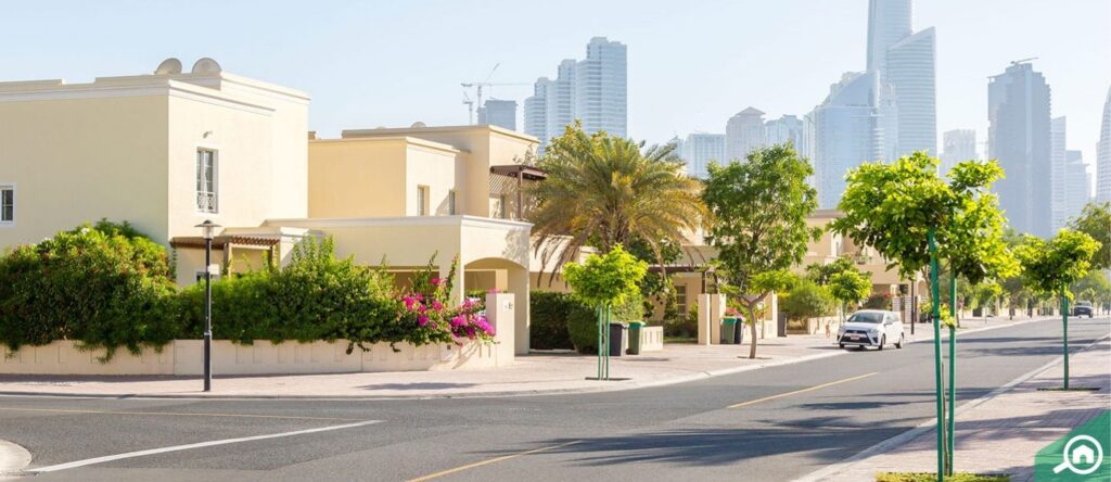 the meadows dubai